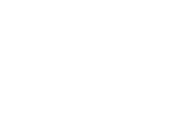 Official partner