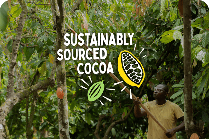 cocoa header-1